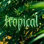 Tropical (Explicit)