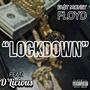 Lockdown (feat. D'Licious) (Explicit)