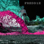 FREDD1E (Explicit)