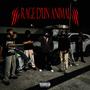 RAGE D'UN ANIMAL (feat. døpelym, Lamoula$, KAGE & NTH) [Explicit]