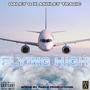 Flying High (Explicit)