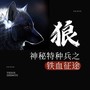 狼：神秘特种兵之铁血征途