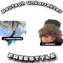 Deutsch Unkorrekter Freestyle