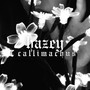 Callimachus