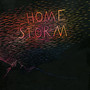 Home Storm