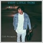 Every Little Thing