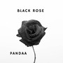 Black Rose