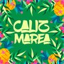 Caliz Marea