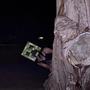 C4 (Explicit)