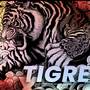 Tigre