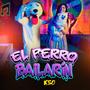 El Perro Bailarin