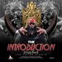 The Introduction (feat. Shady Beck)