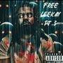 Free Leekay, Pt. 3 (Explicit)