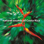 Natural Sounds of Costa Rica