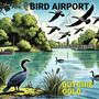 Bird Airport (Ostparkweiher)