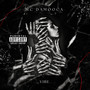 Vibe (Explicit)