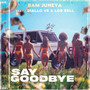 Say Goodbye (Explicit)