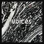 i hear voices