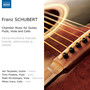 SCHUBERT, F.: Guitar Quartet / Arpeggione Sonata (Tarjasalo, Pulakka, Hirvikangas, Ivars)