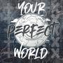 Your Perfect World (Special Edition)