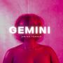 GEMINI (Explicit)