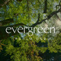 Evergreen (Psalm 1)