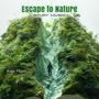 Escape to Nature: Study Music for Concentration, and Relaxation