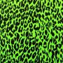 PARTYY CITY (Explicit)