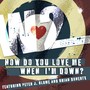 How Do You Love Me When I'm Down? (feat. Peter J Blume & Brian Doherty)