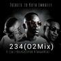 234_(02mix) (feat. Kota Embassy & Targa Rsa)