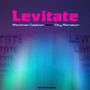 Levitate