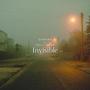 Invisible (feat. Velly WABP) [Explicit]