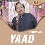 YAAD
