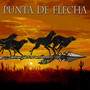 Punta de flecha