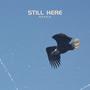 Still Here