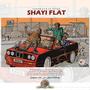 SHAYI FLAT (feat. Eyzer325)