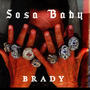 BRADY (Explicit)