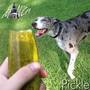 Pickle (Explicit)