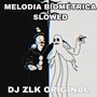 MELODIA BIOMÉTRICA SLOWED