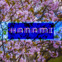 Hanami