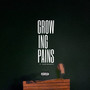 Growing Pains (Explicit)