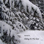 Sliding On The Snow