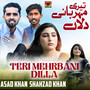 Teri Mehrbani Dilla