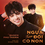 Vó Ngựa Trên Đồi Cỏ Non