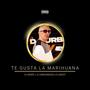 Te Gusta La Marihuana (feat. Dj Henry & Dj Sandungueo)