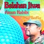 Belahan Jiwa Ainun Habibi (Acoustic)