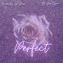 Perfect (feat. BjMrclean Zeus) [Explicit]