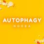 Autophagy