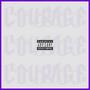 Master P (Explicit)