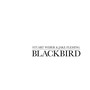 Blackbird (feat. Stuart Weber)